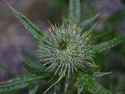 Bryce Canyon National Park
