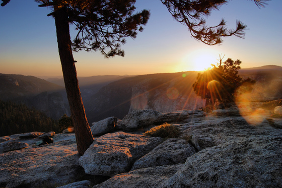 Yosemite National Park