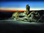 Yosemite National Park