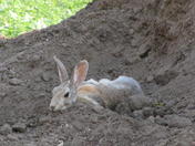 Badlands National Park