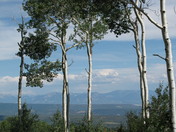 Grand Mesa National Forest