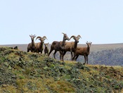 Custer National Park