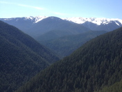 Olympic National Park