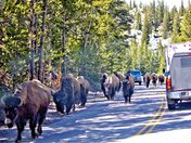 Yellowstone National Park