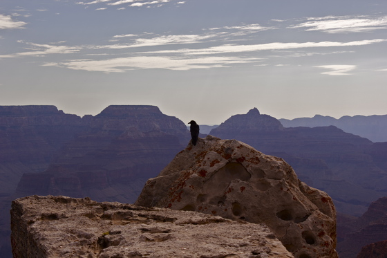 Grande Canyon 