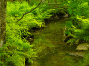 Acadia National Park