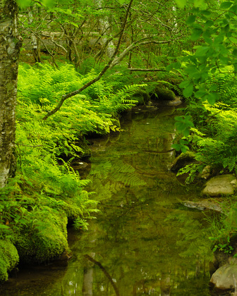 Acadia National Park