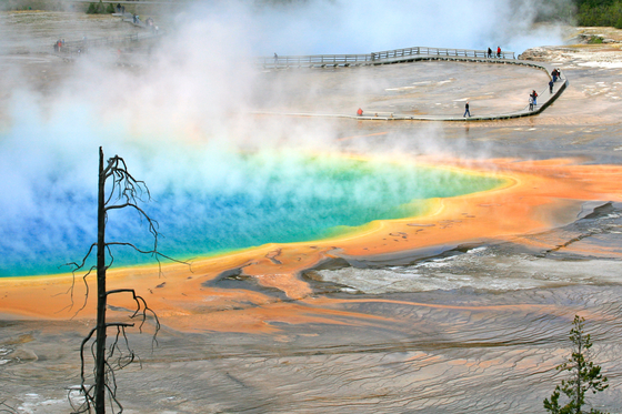 Yellowstone National Park