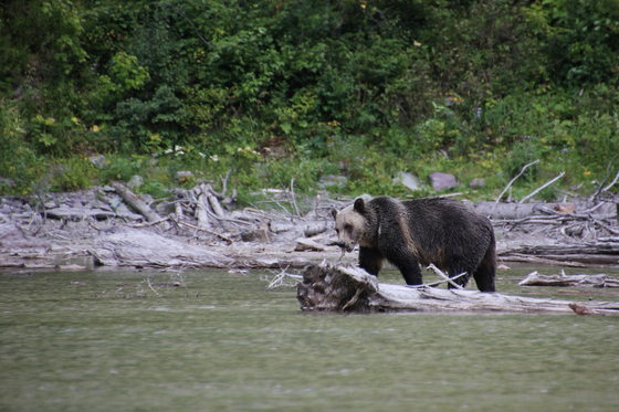 Glacier National Park