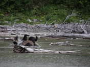 Glacier National Park