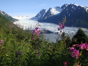 Chugach National Forest