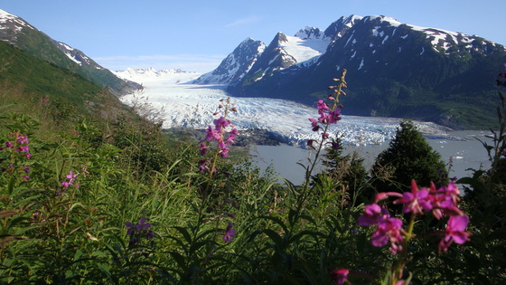 Chugach National Forest
