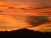 Black Hills National Forest