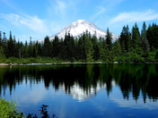 Mt Hood National Forest