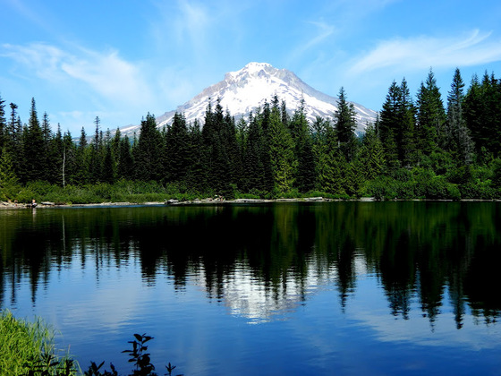 Mt Hood National Forest