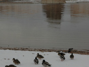 Glen Canyon National Recreational Area