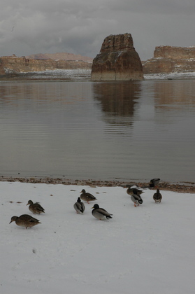 Glen Canyon National Recreational Area