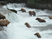 Katmai National Park