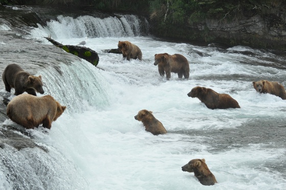 Katmai National Park