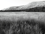 Lassen National Forest