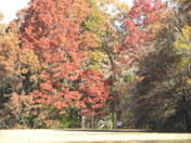 Shiloh National Military Park