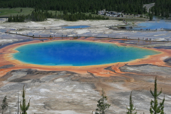 Yellowstone NP