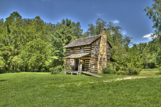 Daniel Boone National Forrest