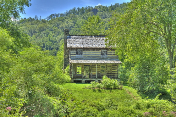 Daniel Boone National Forrest
