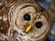 Everglades National Park