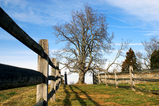 Antietam National Battlefield