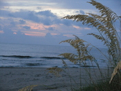 Back Bay National Wildlife Refuge