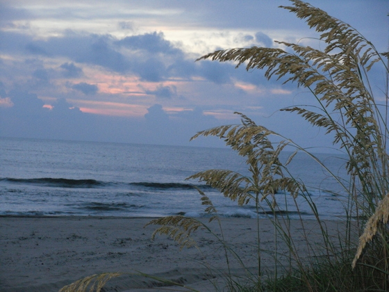 Back Bay National Wildlife Refuge