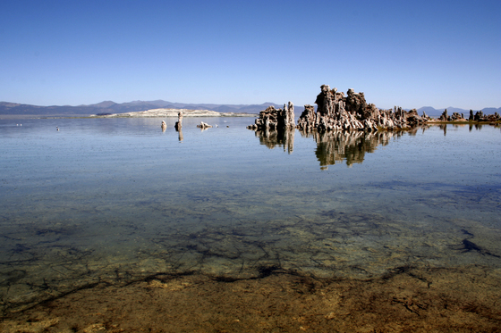 U.S. Forest Service/ Mono Basin National Forest Senic Area