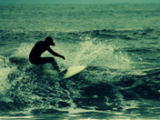 Fire Island National Seashore