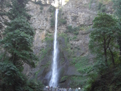 multnomah falls