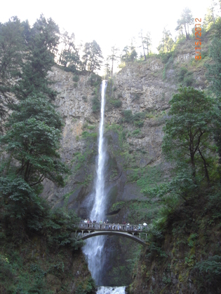 multnomah falls