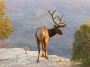 Grand Canyon National Park