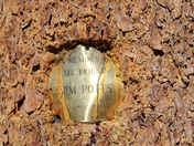 Yosemite National Park