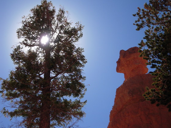 Bryce National Park