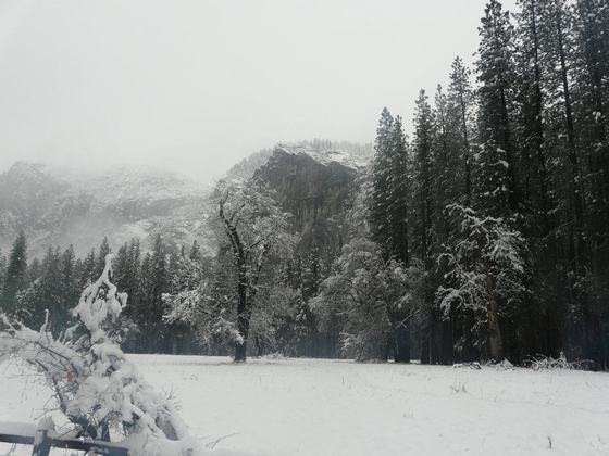 Yosemite