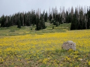 Cedar Breaks National Monument