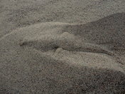 Mojave National Preserve