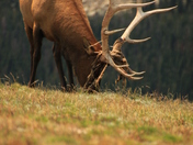 Rocky Mountain National Park