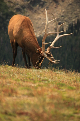Rocky Mountain National Park