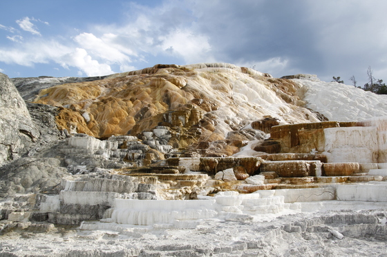 Yellowstone National Park