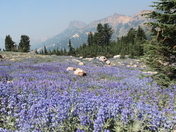 Lassen Volcanic National PArk