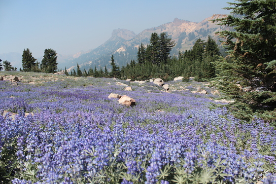 Lassen Volcanic National PArk