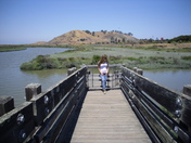 Don Edwards S. F. Bay National Wildlife Refuge
