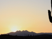 Tonto National Forest