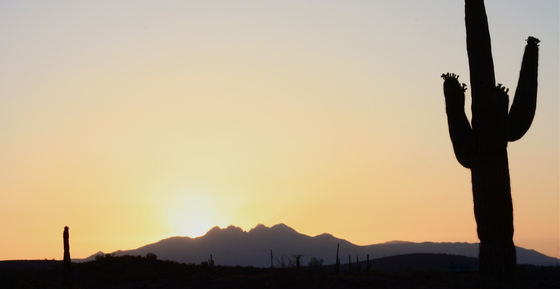 Tonto National Forest